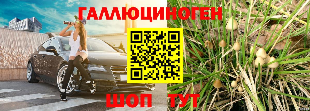 Псилоцибиновые грибы мухоморы Тайшет
